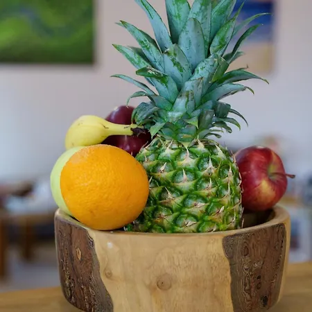 House Family Podhum Drazice