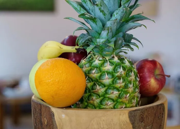 House Family Podhum Drazice